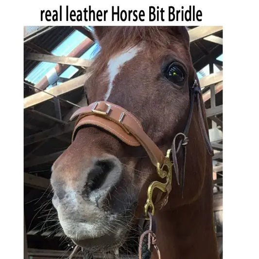 Horse Hackamore Bridle — Leather, Padded Nose, Curb Chain, English & Western