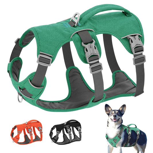 Escape-Proof Reflective Dog Harness with Handle — Adjustable Nylon for Small, Medium & Large Dogs
