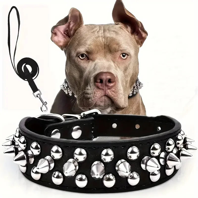 Spiked Leather Dog Collar & Leash Set — Adjustable for Outdoor Walking