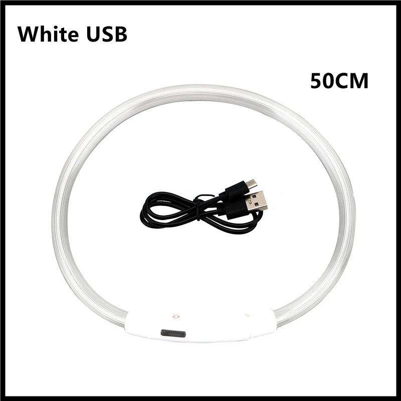 USB Rechargeable LED Dog & Cat Collar — Adjustable, Nylon, Night Safety | XS–XXL
