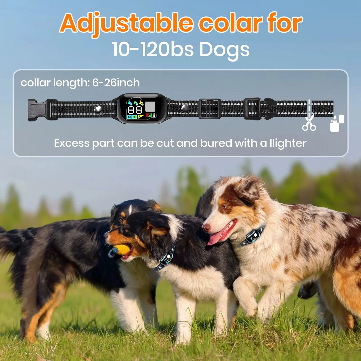 2-in-1 AI Dog Training & Anti-Bark Collar — 3300FT Range, IPX7 Waterproof, Fits 10-120 lbs
