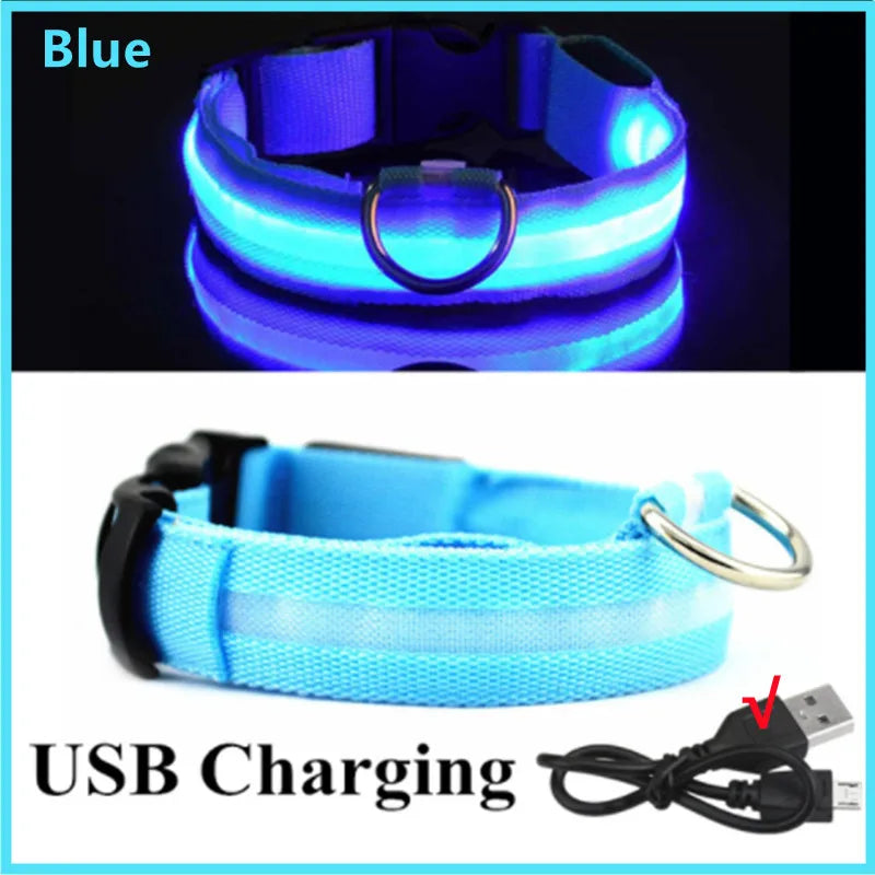 USB Rechargeable LED Dog & Cat Collar — Adjustable, Nylon, Night Safety | XS–XXL