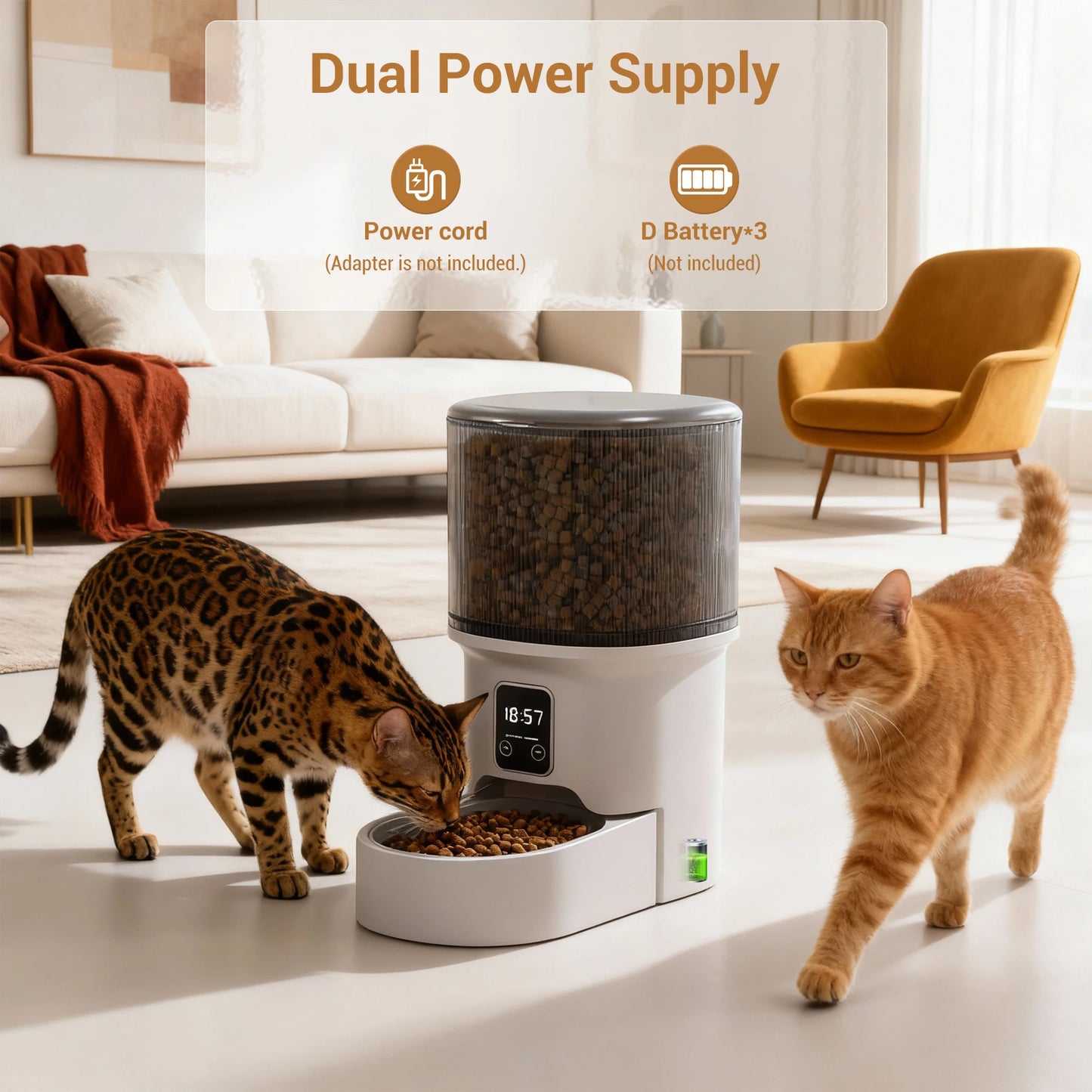4L Automatic Cat & Small Dog Feeder with Timer — 1 to 6 Scheduled Meals Per Day