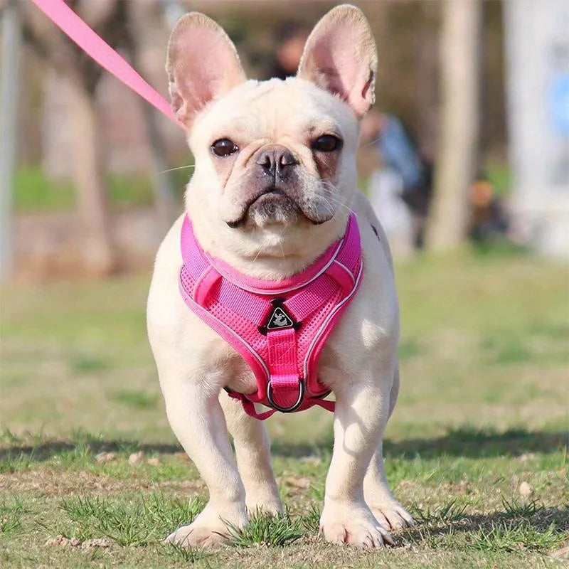 No-Pull Dog & Cat Harness & Leash Set — Adjustable, Reflective Vest