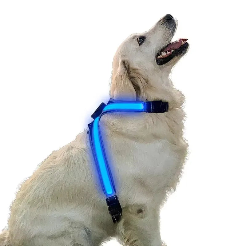 Color Changing Dog Collar — Unique Fiber Design