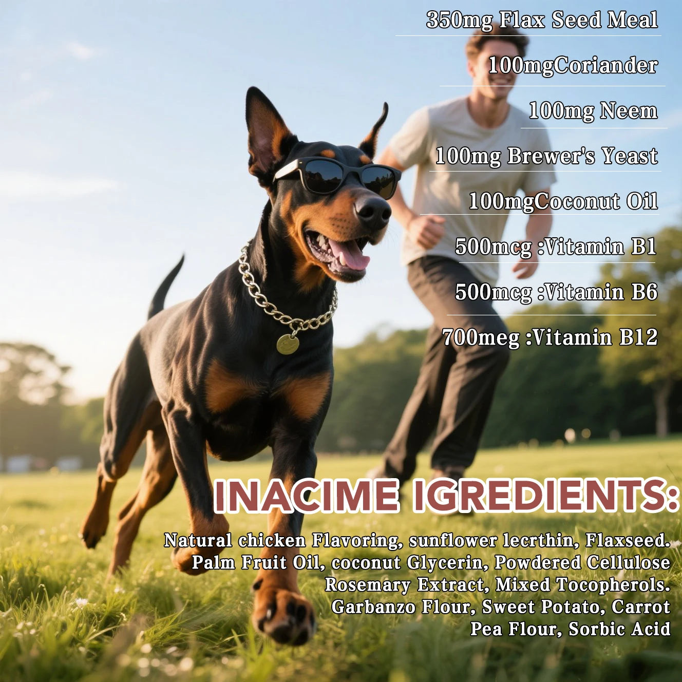 20-in-1 Dog Multivitamin Soft Chews — Skin, Coat, Immune, Gut Health with Omega-3, Iron & Zinc