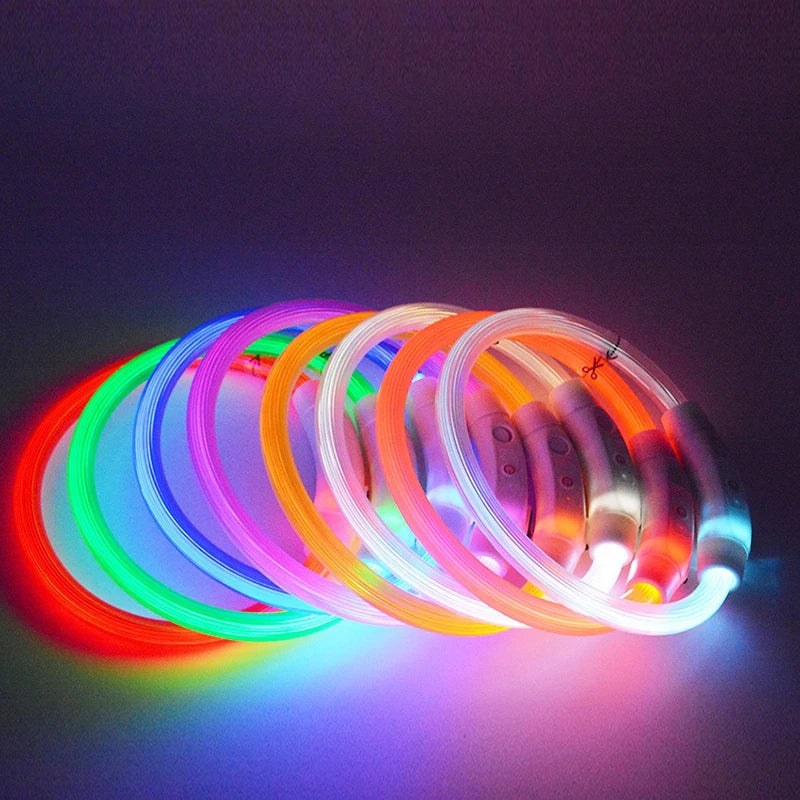 Rechargeable LED Dog Collar — Bright Light for Night Safety