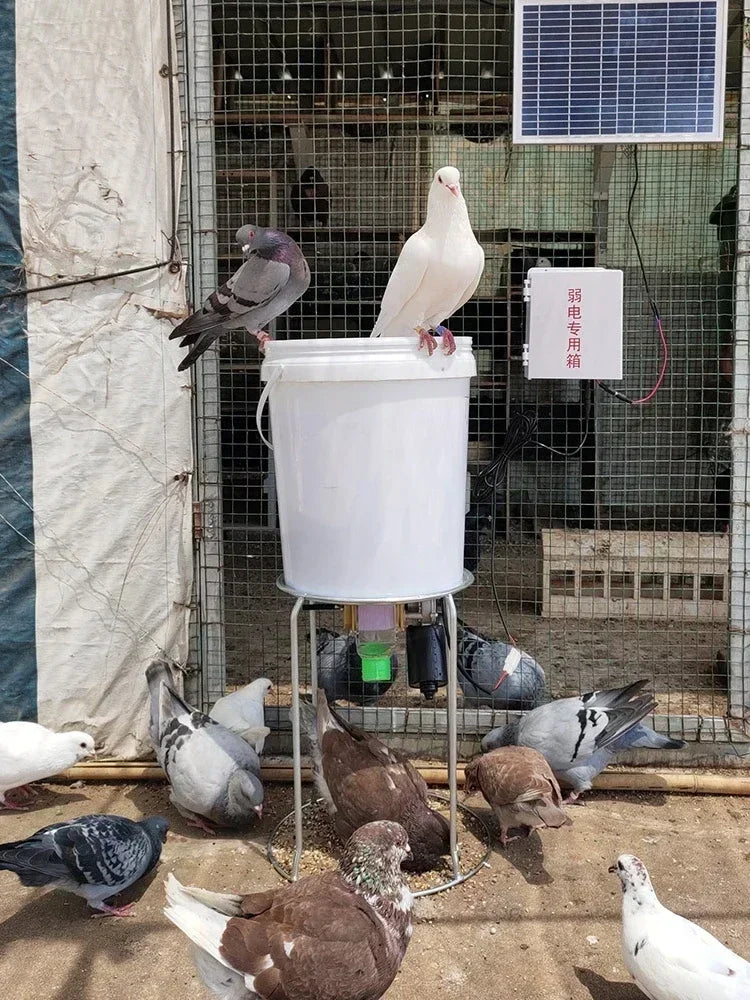 Automatic Poultry Feeder with Timer — WiFi Control or Solar Powered | Chickens, Ducks & Pigeons