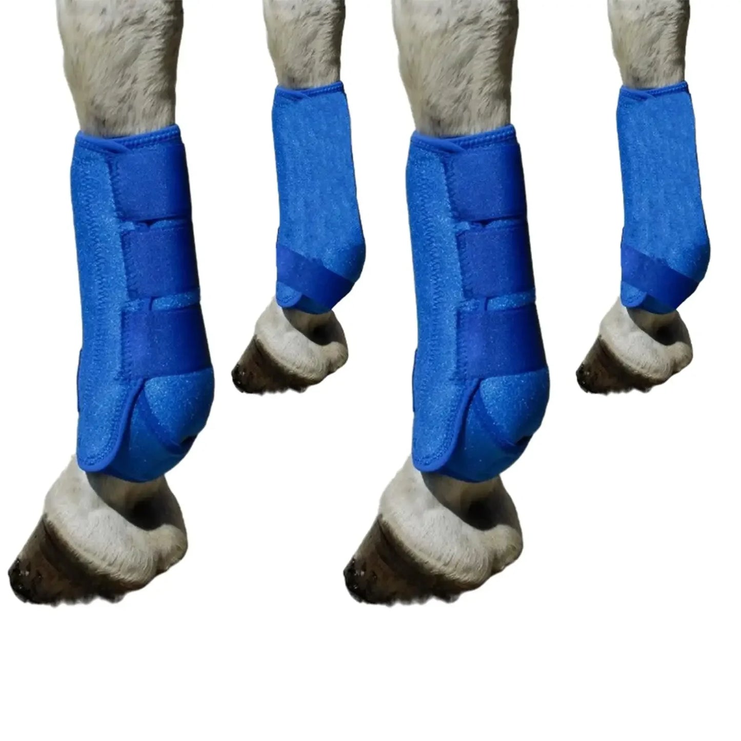 Horse Leg Boots — 4-Pack Durable Protection & Support for Outdoor Training | S, M, L