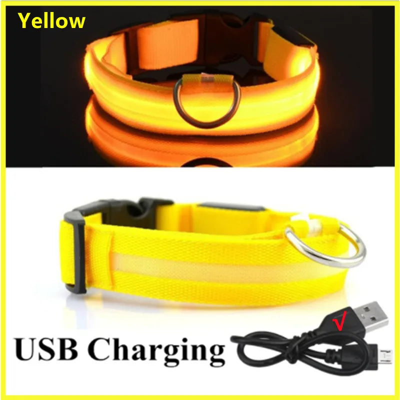 USB Rechargeable LED Dog & Cat Collar — Adjustable, Nylon, Night Safety | XS–XXL