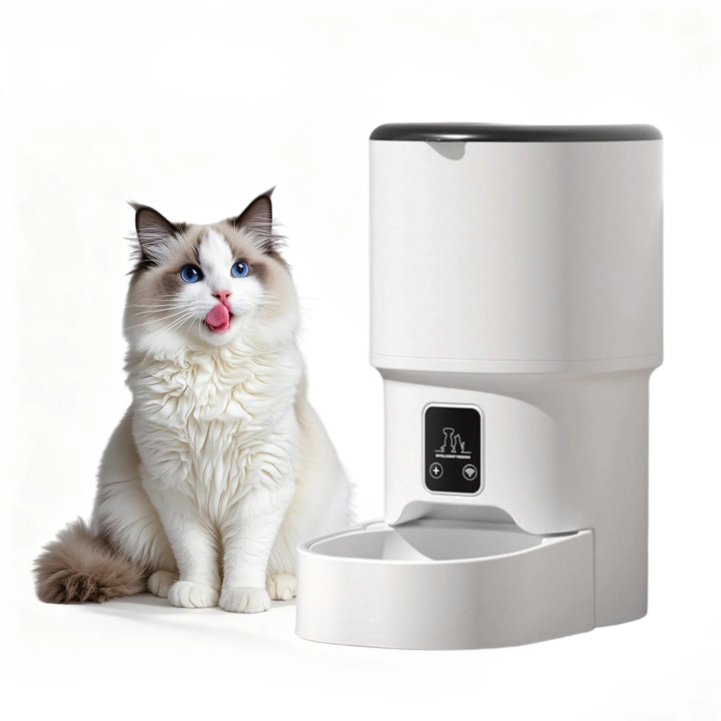 4L Automatic Cat & Small Dog Feeder with Timer — 1 to 6 Scheduled Meals Per Day
