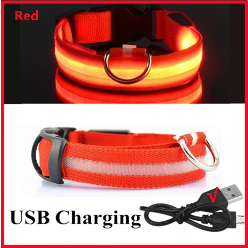 USB Rechargeable LED Dog & Cat Collar — Adjustable, Nylon, Night Safety | XS–XXL