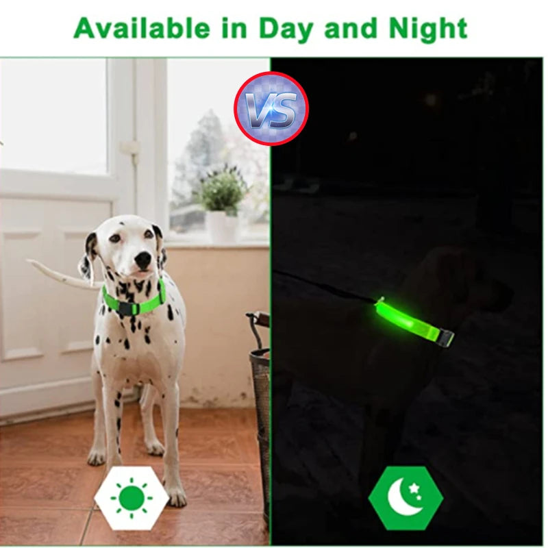 USB Rechargeable LED Dog & Cat Collar — Adjustable, Nylon, Night Safety | XS–XXL