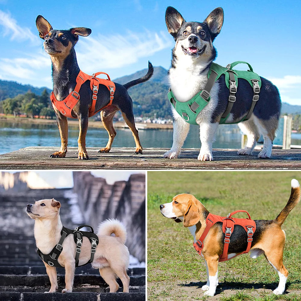 Escape-Proof Reflective Dog Harness with Handle — Adjustable Nylon for Small, Medium & Large Dogs