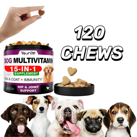 15-in-1 Multivitamin for Dogs — Supports Hair Loss, Digestion & Immune Health