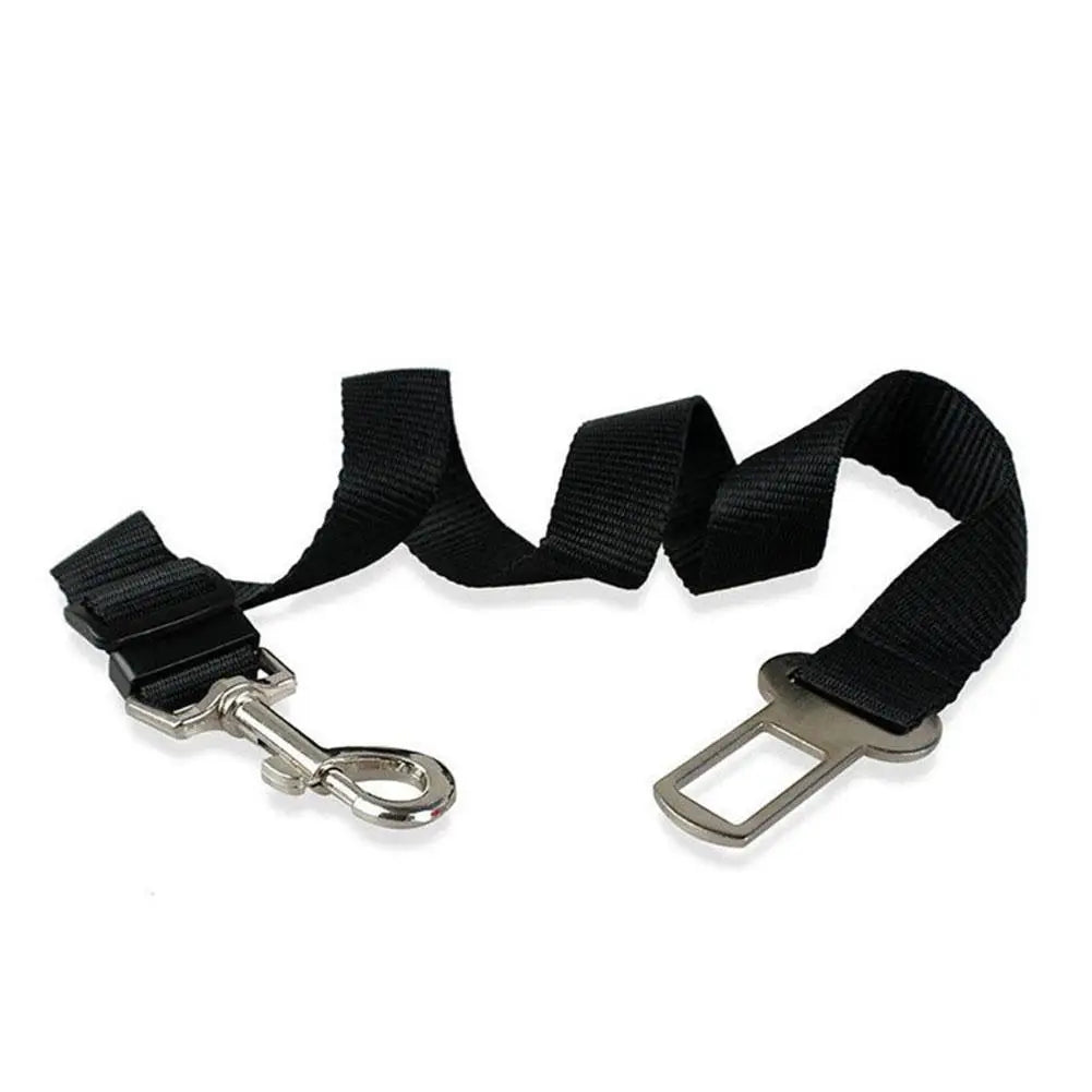 Breathable Mesh Dog Harness & Car Seat Belt — Adjustable, Sizes S, M, L