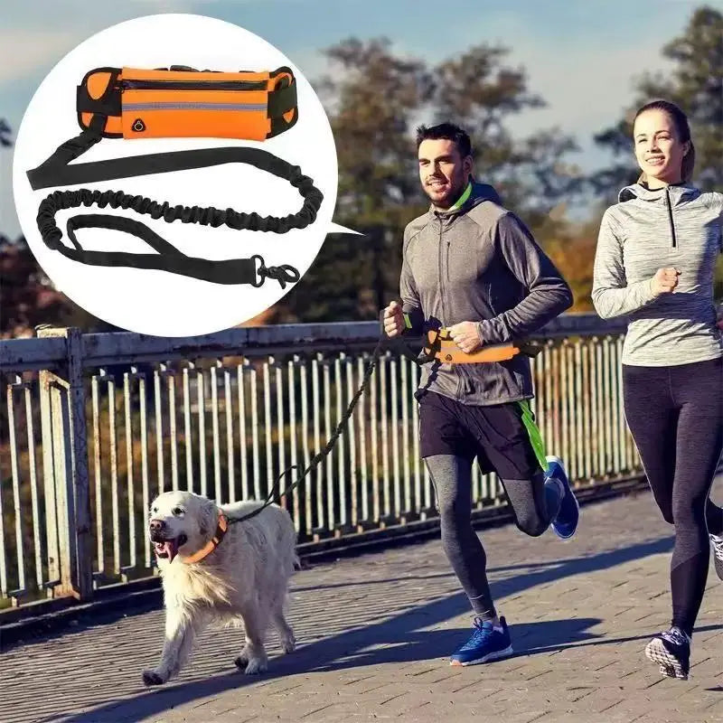 Hands-Free Dog Leash with Waist Bag — Reflective, Retractable, Elastic Belt
