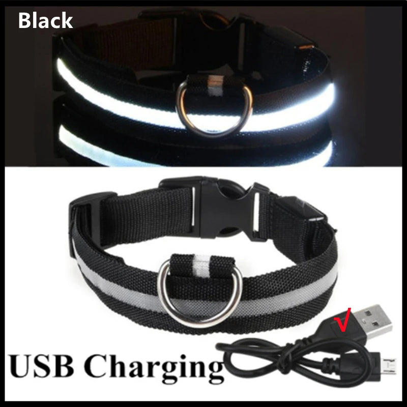 USB Rechargeable LED Dog & Cat Collar — Adjustable, Nylon, Night Safety | XS–XXL