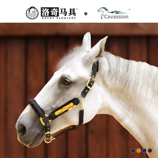 Horse Halter — Adjustable, No Ear Cover