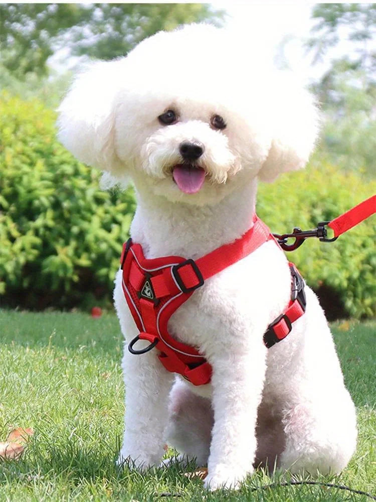 No-Pull Dog & Cat Harness & Leash Set — Adjustable, Reflective Vest