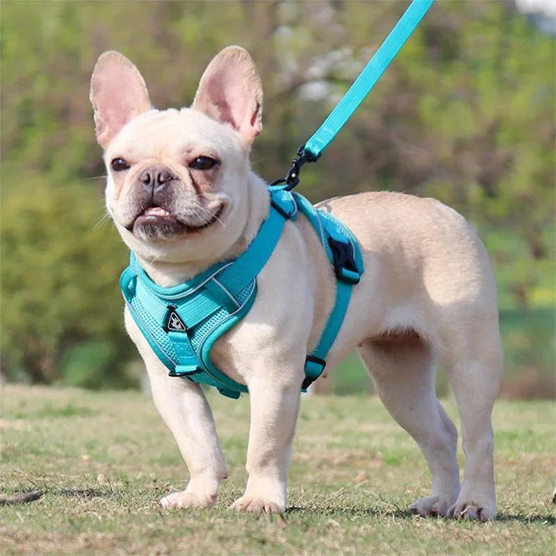 No-Pull Dog & Cat Harness & Leash Set — Adjustable, Reflective Vest