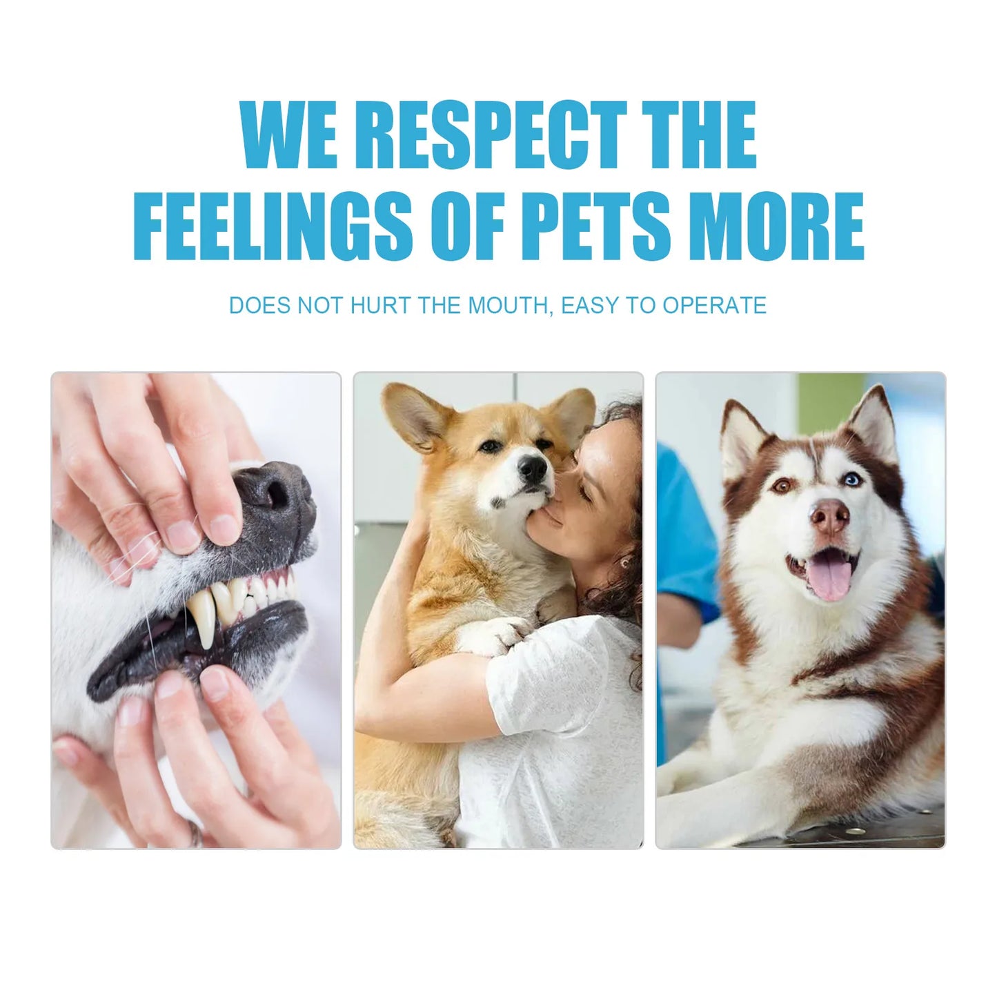 Edible Dog & Cat Toothpaste — Daily Tartar Control, Gum Protection & Odor Reduction
