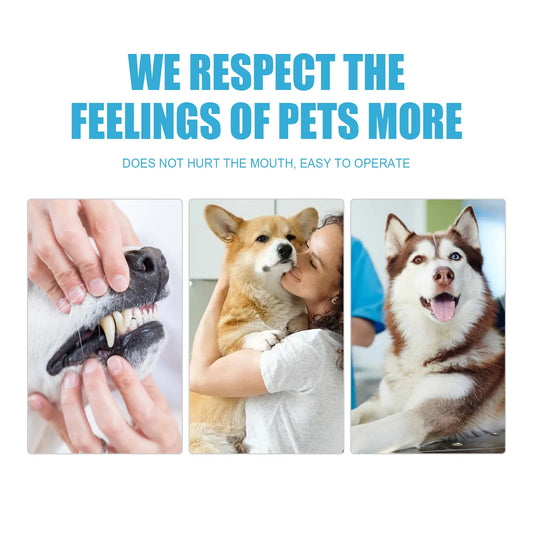 Edible Dog & Cat Toothpaste — Daily Tartar Control, Gum Protection & Odor Reduction