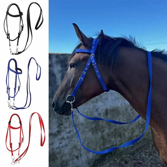 Heavy Duty Horse Bridle with Headband — Adjustable, 3 Colors