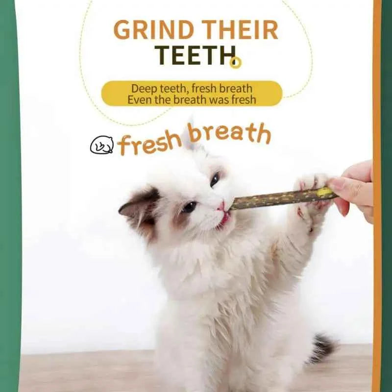 100pcs/lot Natural Matatabi Pet Cat Snacks Sticks Cleaning Tooth Catnip Cat Toys Actinidia Silvervine Pet Toy For Cats