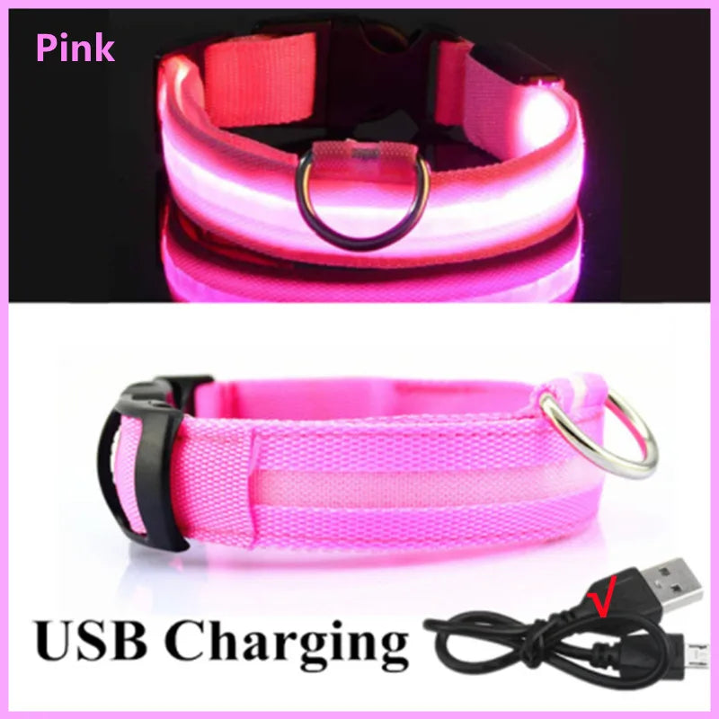 USB Rechargeable LED Dog & Cat Collar — Adjustable, Nylon, Night Safety | XS–XXL