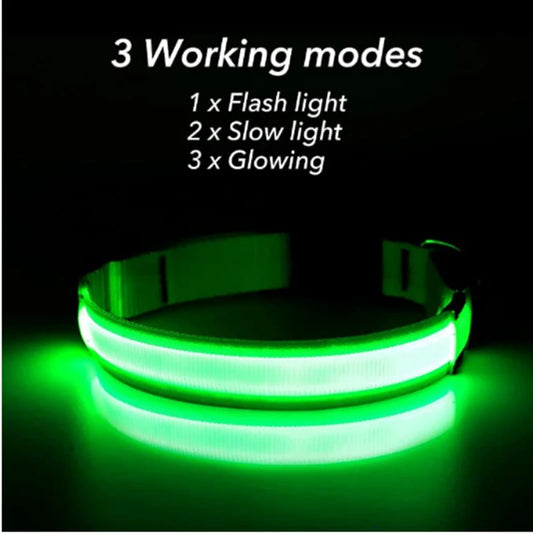 USB Rechargeable LED Dog & Cat Collar — Adjustable, Nylon, Night Safety | XS–XXL