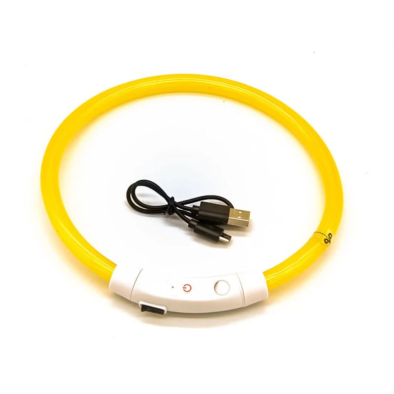 Rechargeable LED Dog Collar — Bright Light for Night Safety
