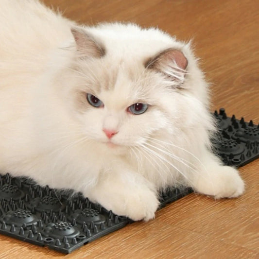 Cat & Kitten Fur Cleaning Massage Brush — Soft Plastic Grooming Tool