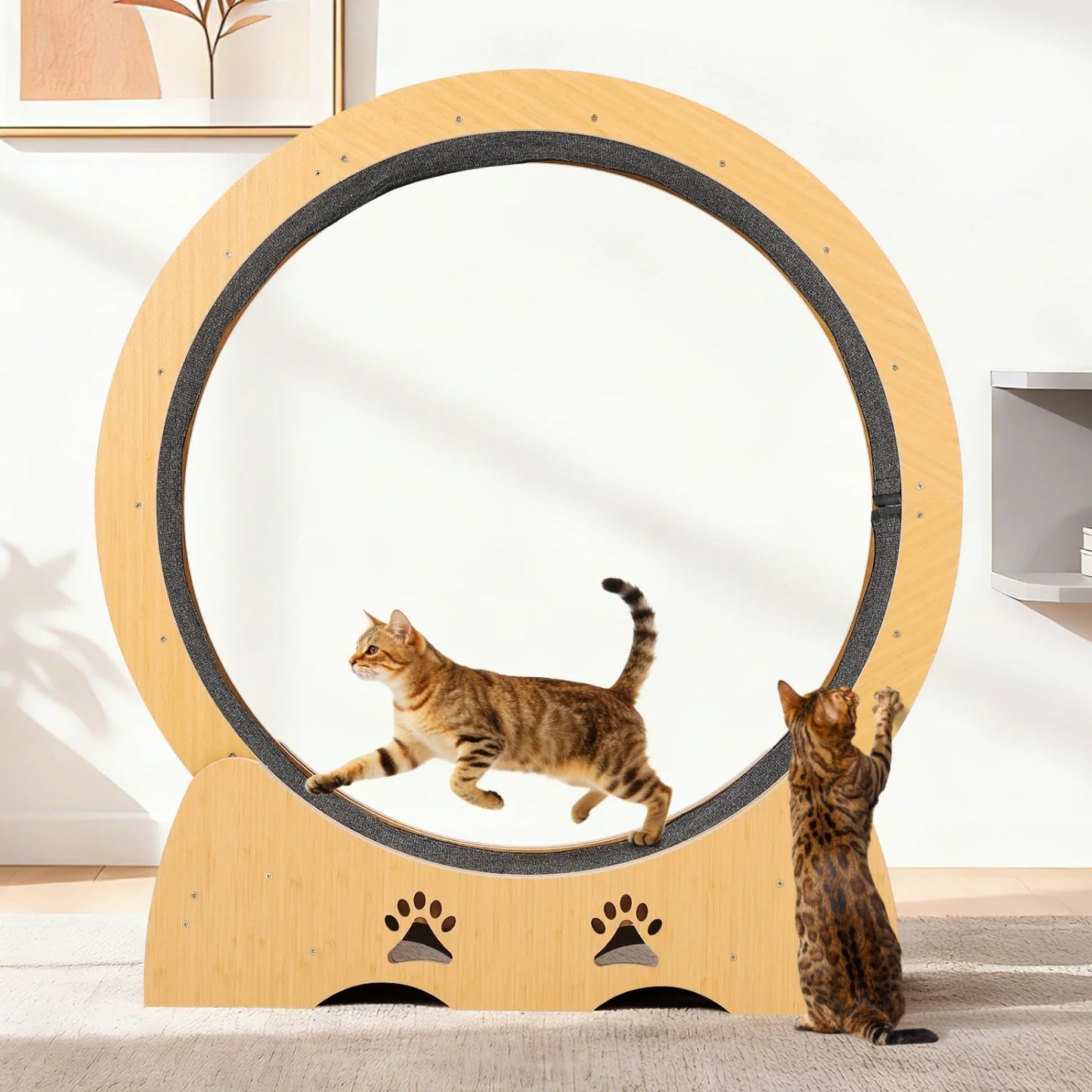 Wooden Cat Exercise Wheel — Large Indoor Running Treadmill with Low Noise & Removable Carpet