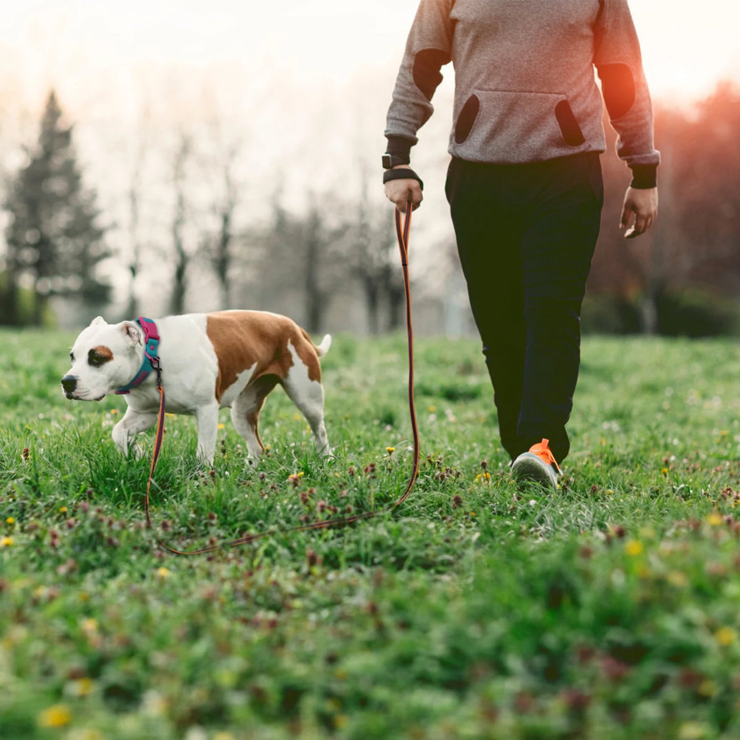 Long Dog Leash — 1.5m, 2m, 3m, 5m, 10m & 15m Options for Small, Medium & Large Dogs