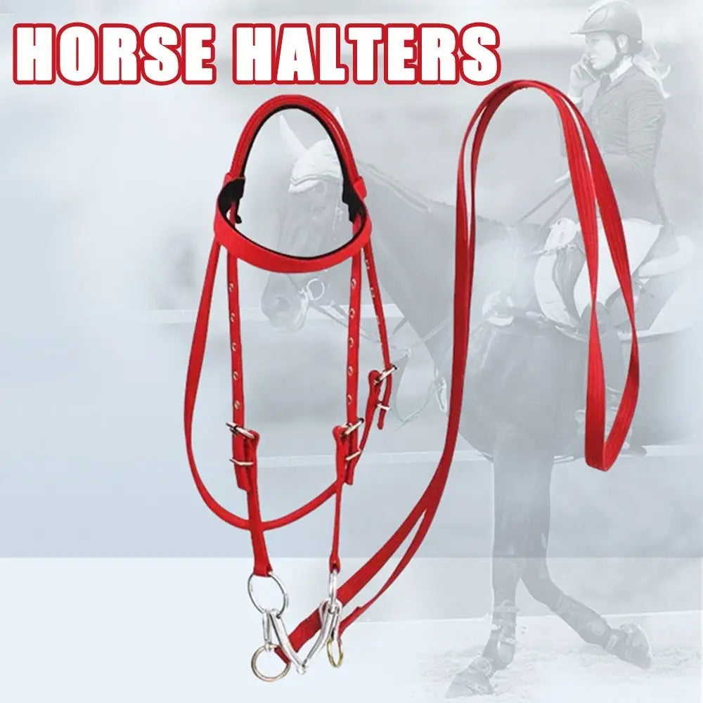 Heavy Duty Horse Bridle with Headband — Adjustable, 3 Colors