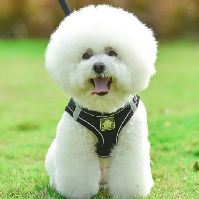 Reflective Dog Harness & Leash Set — Safety Walking Gear
