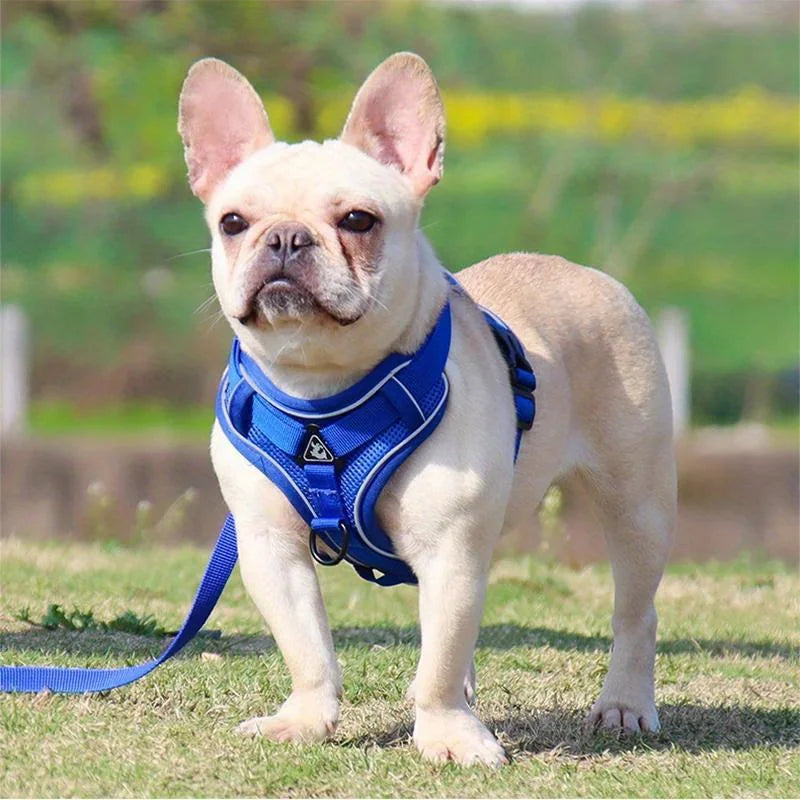 No-Pull Dog & Cat Harness & Leash Set — Adjustable, Reflective Vest