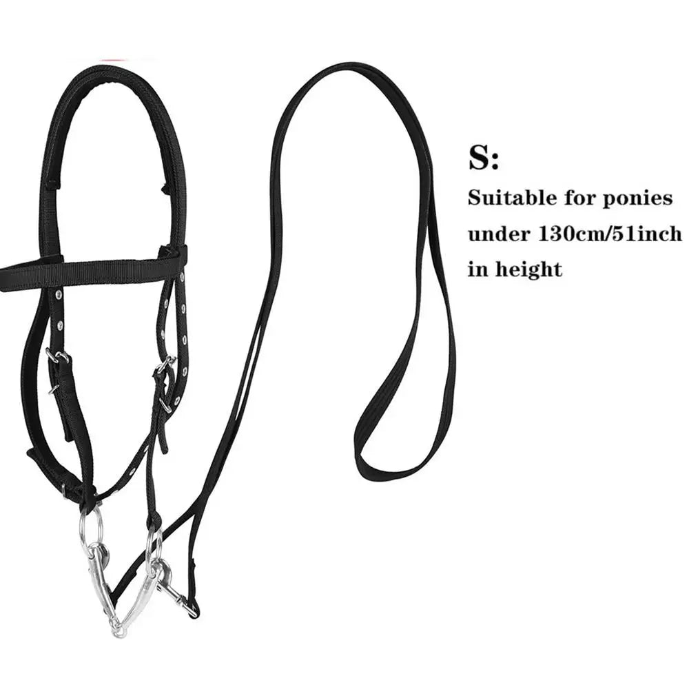 Adjustable Horse Halter with Lead Rope — 3 Buckles, Padded, Sizes S & L