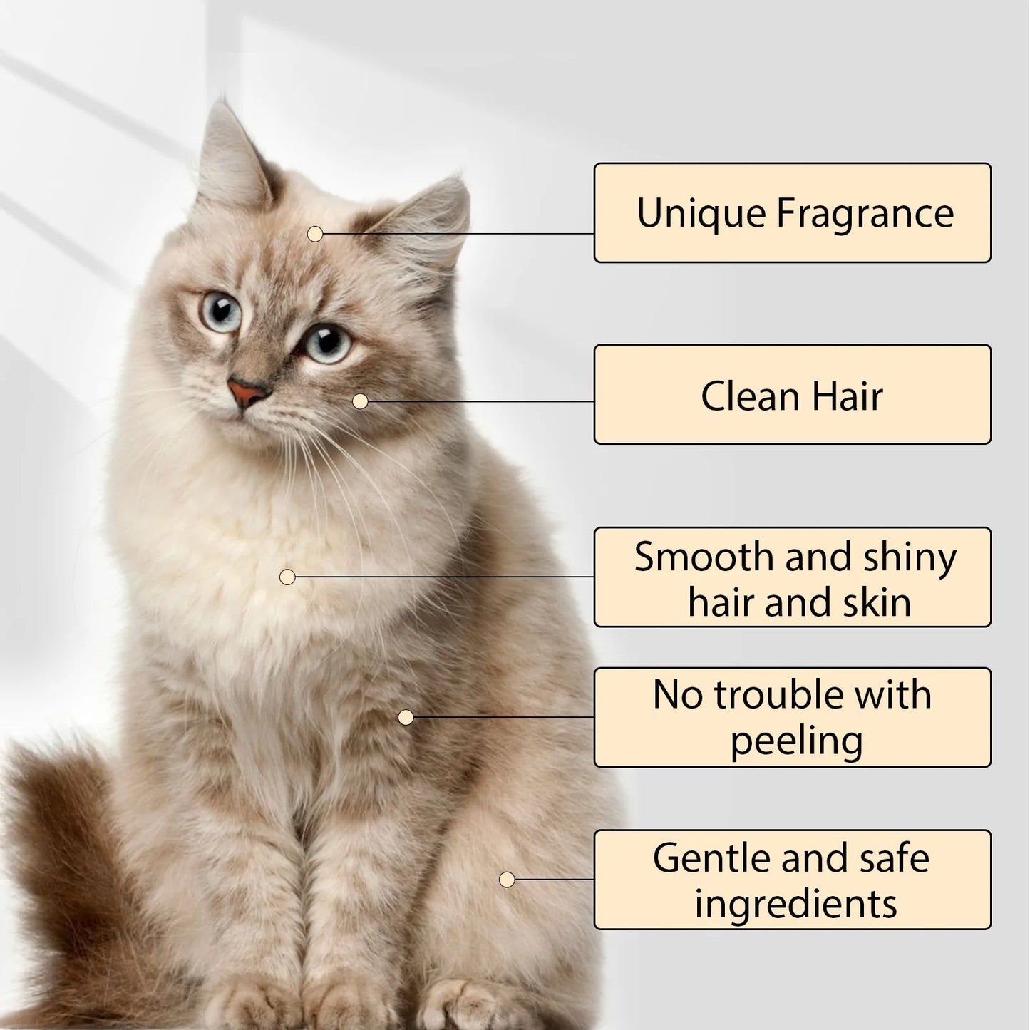 Dog Flea & Mite Killer Shampoo — Deep Cleansing Wash
