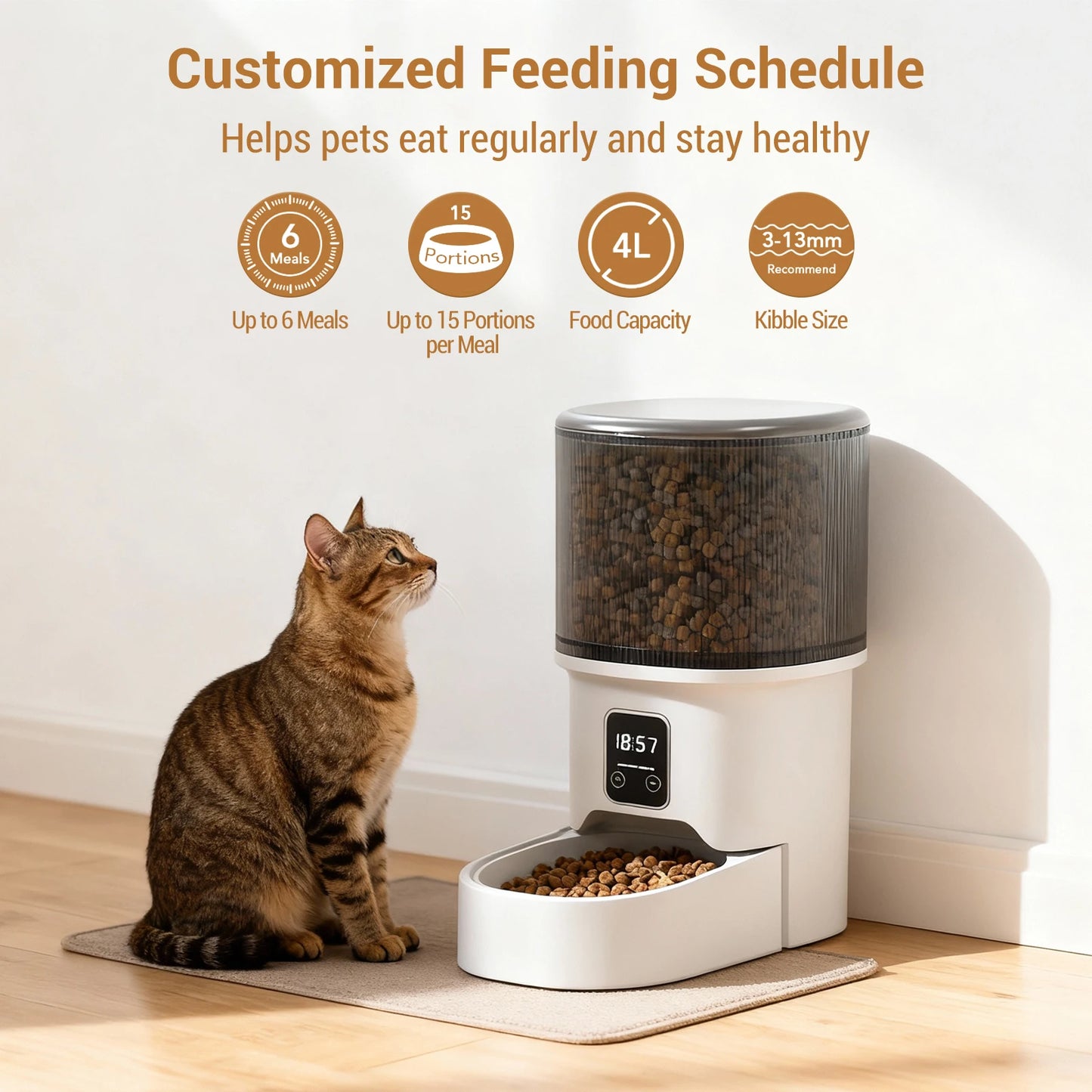 4L Automatic Cat & Small Dog Feeder with Timer — 1 to 6 Scheduled Meals Per Day