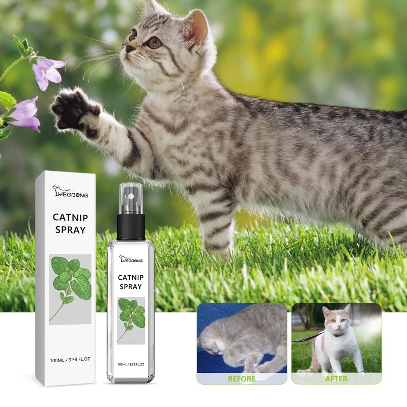 Catnip Spray Relieves Cats' Anxious Moods. Vitality for Healthy Care