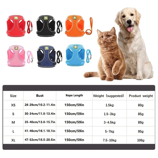 Reflective Dog Harness & Leash Set — Safety Walking Gear