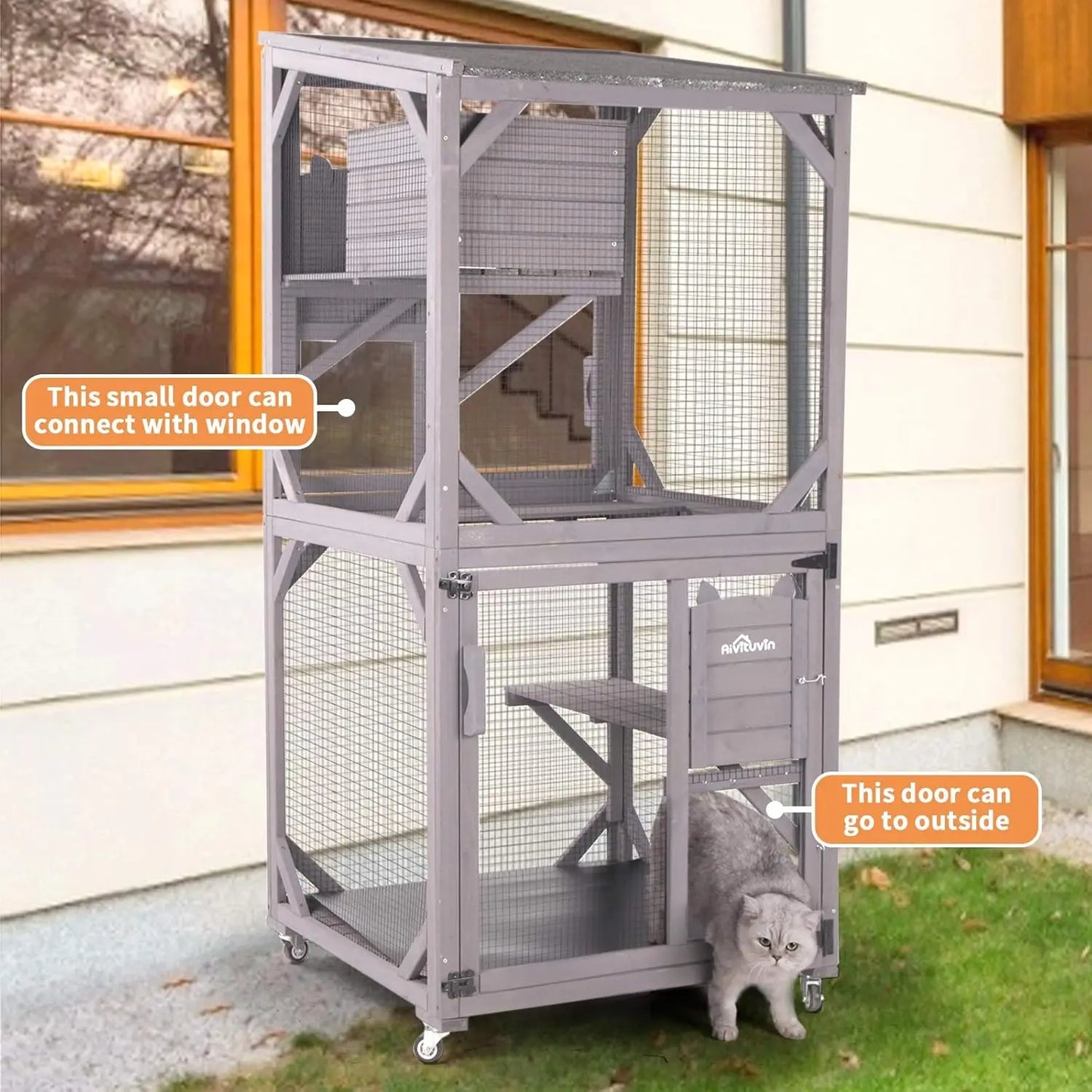 Indoor & Outdoor Cattery — Wooden Fir & PVC Cat Enclosure