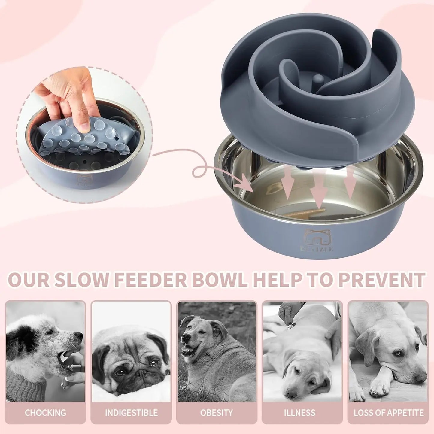 2-in-1 Stainless Steel Slow Feeder Dog Bowl — Silicone Insert, Anti-Slip Base, All Dog Sizes
