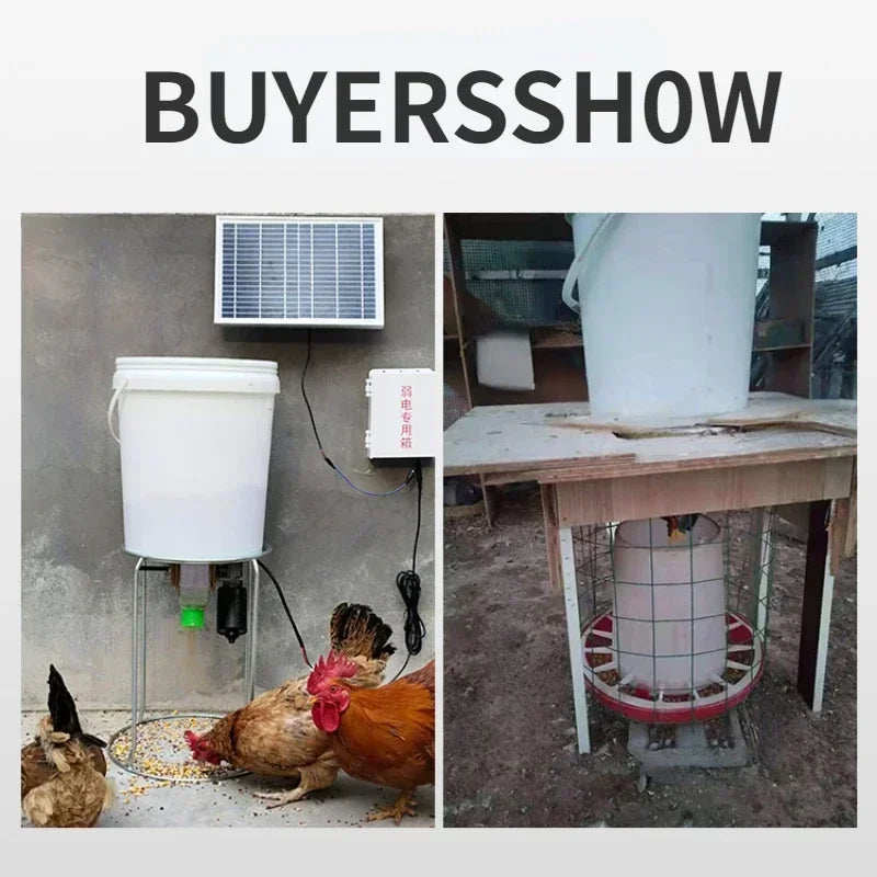 Automatic Poultry Feeder with Timer — WiFi Control or Solar Powered | Chickens, Ducks & Pigeons