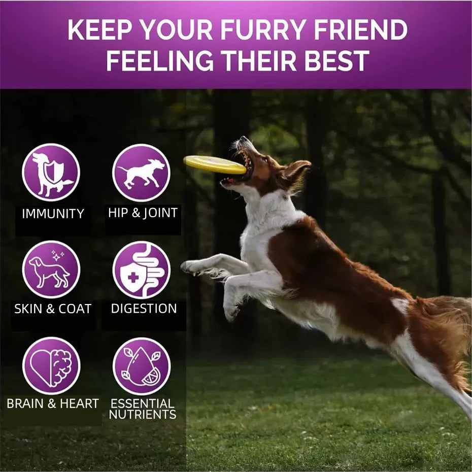 15-in-1 Multivitamin for Dogs — Supports Hair Loss, Digestion & Immune Health