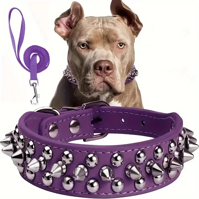 Spiked Leather Dog Collar & Leash Set — Adjustable for Outdoor Walking
