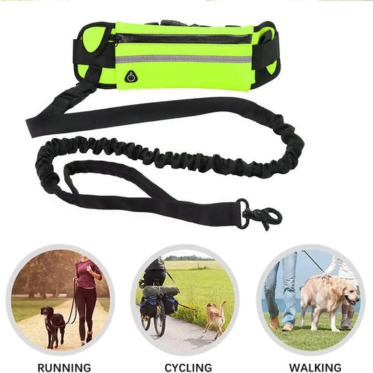 Hands-Free Dog Leash with Waist Bag — Reflective, Retractable, Elastic Belt