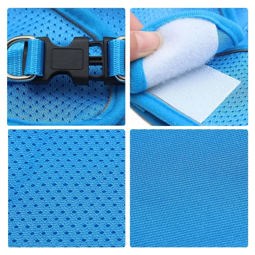 Reflective Dog Harness & Leash Set — Safety Walking Gear